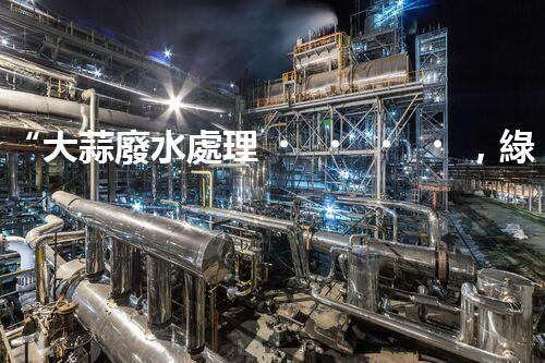 “大蒜廢水處理，綠色環(huán)保新篇章”